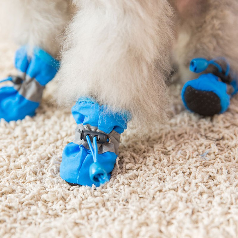 4 Buah Sepatu Anjing Kecil Sep - Outdoor Camping Slippers ulasan dan harga